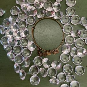 🌹Alex and Ani Cupcake Bangle 🌹